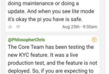 pi币核心团队:测试新的kyc身份认证方式_派想网