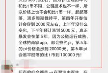 pi币再次被神话！一枚Pi币价格10万人民币_派想网