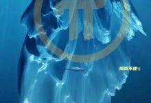 还未上主网的Pi就能掀起滔天巨浪，主网之后更是无法预料其广阔未来！_派想网