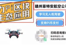 又一个Pi友大佬现身，准备给Pi赋予生态流通价值！_派想网