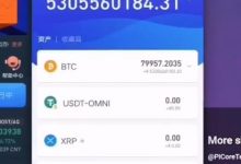 握币不动53亿秒变299亿!299亿比特币大佬准备收pi,只等主网上线!_派想网