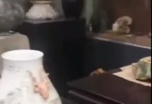 抓紧挖Pi!大咖5个亿的古董资产准备卖掉收Pi,共识派友预测75美元是Pi最低价值!_派想网