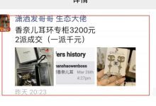 2枚pi币易货3200元香奈儿耳环，成交了！_派想网