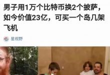 顶级韭菜：用买一个岛和几架飞机的钱换了2个披萨，pi的共识低于100＄你也会成为顶级韭菜！_派想网