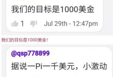 pi财富的认知:pi友的目标就是1pi1000美金!pi的发行量人均占比少的可怜!_派想网