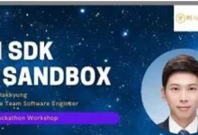 Pi大爆发终于来了!3大开发工具被普及!生态应用即将到来_派想网