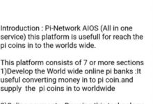 Pi未来的样子!Pi银行、易货、购物、订票、租车、游戏..._派想网