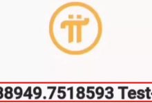 仅仅公测3天就收到23万+的测试派!国内首个对接派网络的商城才开放3天就取得如此成绩,年底主网不敢想象_派想网