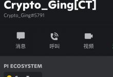 Pi核心团队迎来新核心成员_派想网