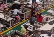 老板大格局：又一个大型工厂几百上千全体员工集体挖pi！_派想网