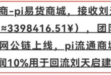 厉害了我的pi生态：资本开始进入pi生态了！比特大佬投入11个比特支持pi生态大派商建设！_派想网