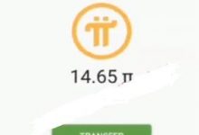 厉害了我的pi友:pi友的基础Pi没了!马上就要主网了,我的基础Pi只剩下14个了,我该如何实现财富自由!_派想网