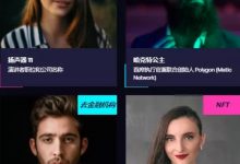 2大好消息来了!尼古拉斯现身聊天室,Pi核心成员正在筹备全球最大的defi和NFT峰会!_派想网