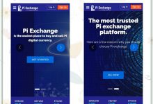 拉各斯PiHub应用:集PiMall、PiEx、PiPay为一体的多功能公共平台!_派想网