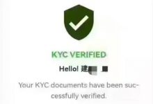 太好了！有π友收到kyc并过了！可在这个地方检查kyc！还没kyc的这些重要的内容要看一下！_派想网