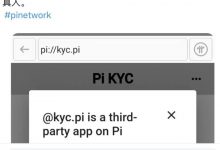 π软件主页关于KYC问答,尼古拉斯对派应该是有通盘计划的,多数派友并不能真正看透_派想网