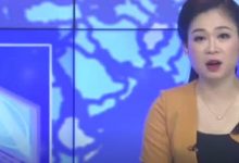 越南农业农村频道专题报道π网络_派想网