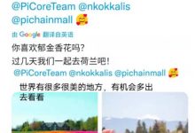 pitogo@尼古拉斯一起去看美丽的郁金香!_派想网