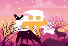 最近尼古拉斯没有消息，我们要做的就是等待！_派想网