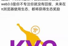 尼古拉斯团队的最新进展以及KYC的最新消息!_派想网