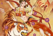 读懂尼古拉斯_派想网