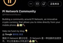 派项目的全球部分生态平台为派项目助力！_派想网