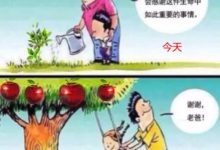 终于弄明白了！后面减产是这样减的！_派想网