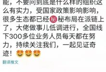 派链京东生态商城在加紧布局！_派想网