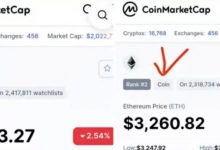 Pi公链原生币，可遇不可求，靠历史机遇！_派想网