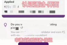 Pi认证通过了可以申请验证器_派想网