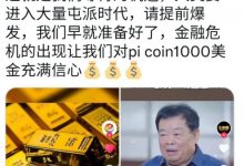 这就是我们等待的机遇, 金融危机的出现让我们对picoin1000美金充满信心_派想网