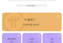 验证员上线：过了kyc的π友，积极参加验证者申请，加快验证者进程！_派想网