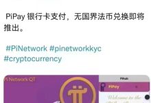 太棒了！πPay银行卡支付即将推出！_派想网