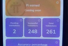 必读：生态应用接口API优化，验证器迅速扩大_派想网