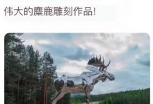 种种迹象表明:马斯克也是π背后的核心人物!麋鹿见证奇迹!_派想网