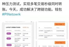 博士真在进行派与各币之间的压力转账测试_派想网
