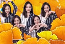 Pinetwork和PiCoin未来他将势不可挡 !_派想网