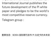 白皮书的未来发展_派想网