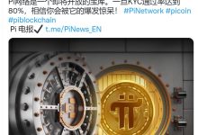 Pi是未来加密货币的颠覆者_派想网