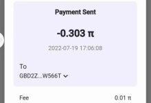 沙特阿拉伯延布映射先锋在超市用pi支付_派想网