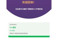 通过KYC了!中山第一个进入富人行业的派友_派想网