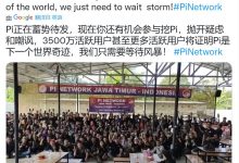 Pi是一种真正的价值投资_派想网