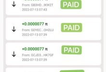 Pi区块链上已知的第一个#PiPayment的真正价值交换_派想网