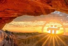 必读:814,my被暂停,第一阶段以建设为主!_派想网