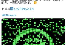 所有Pi白名单商城已经成功接入SDK接口_派想网