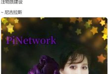 pi的KYC是迄今为止金融史上最复杂的KYC_派想网