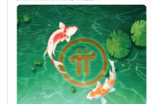 Pi的价值远没有开拓者想象的那么简单_派想网