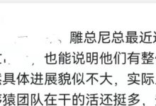 雕总尼总最近这段时间一直在忙_派想网