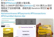 pi在全球范围内的创造力和真实影响_派想网