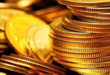 必读:主网时间!_派想网